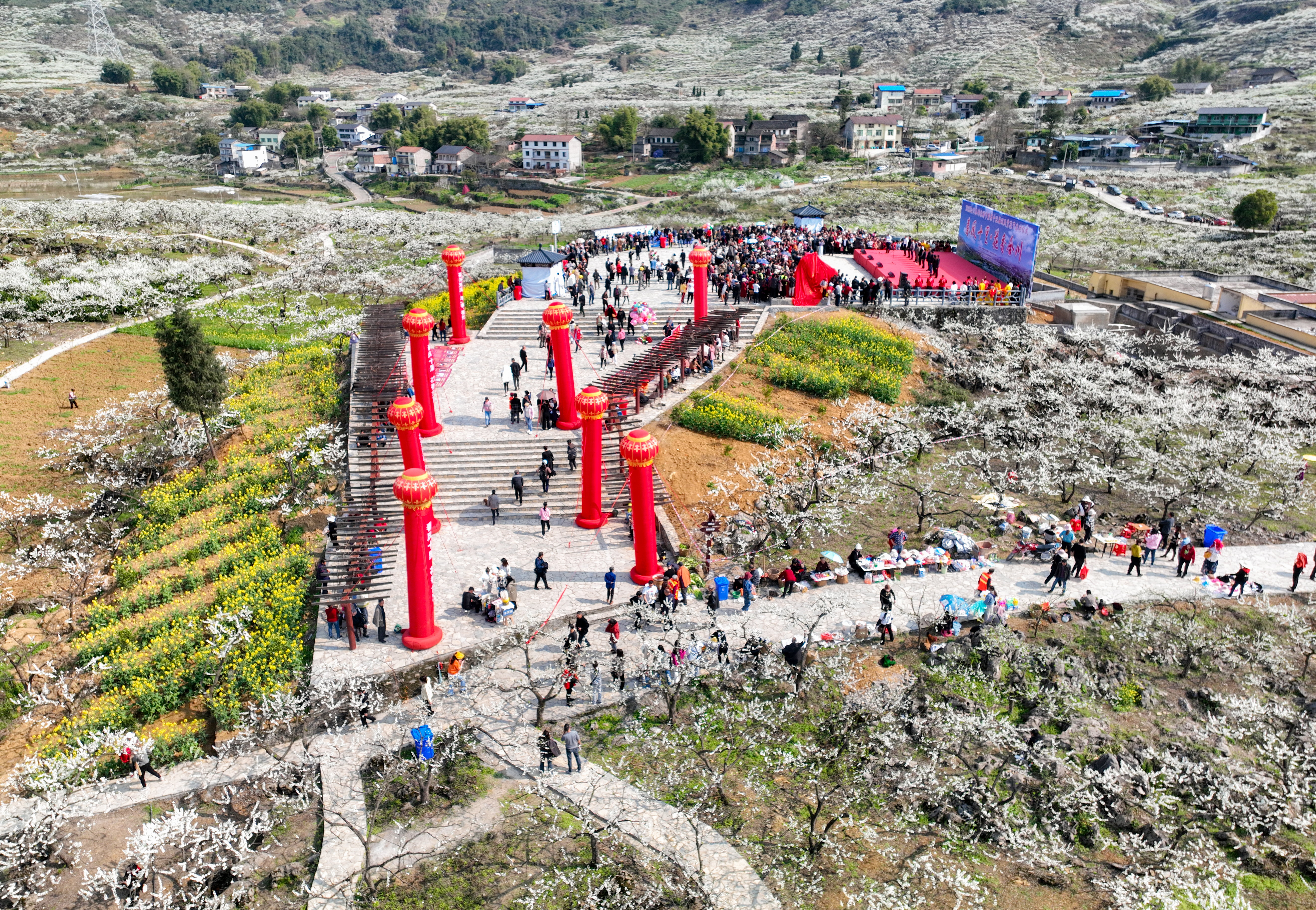 春风十里 花香合川.jpg