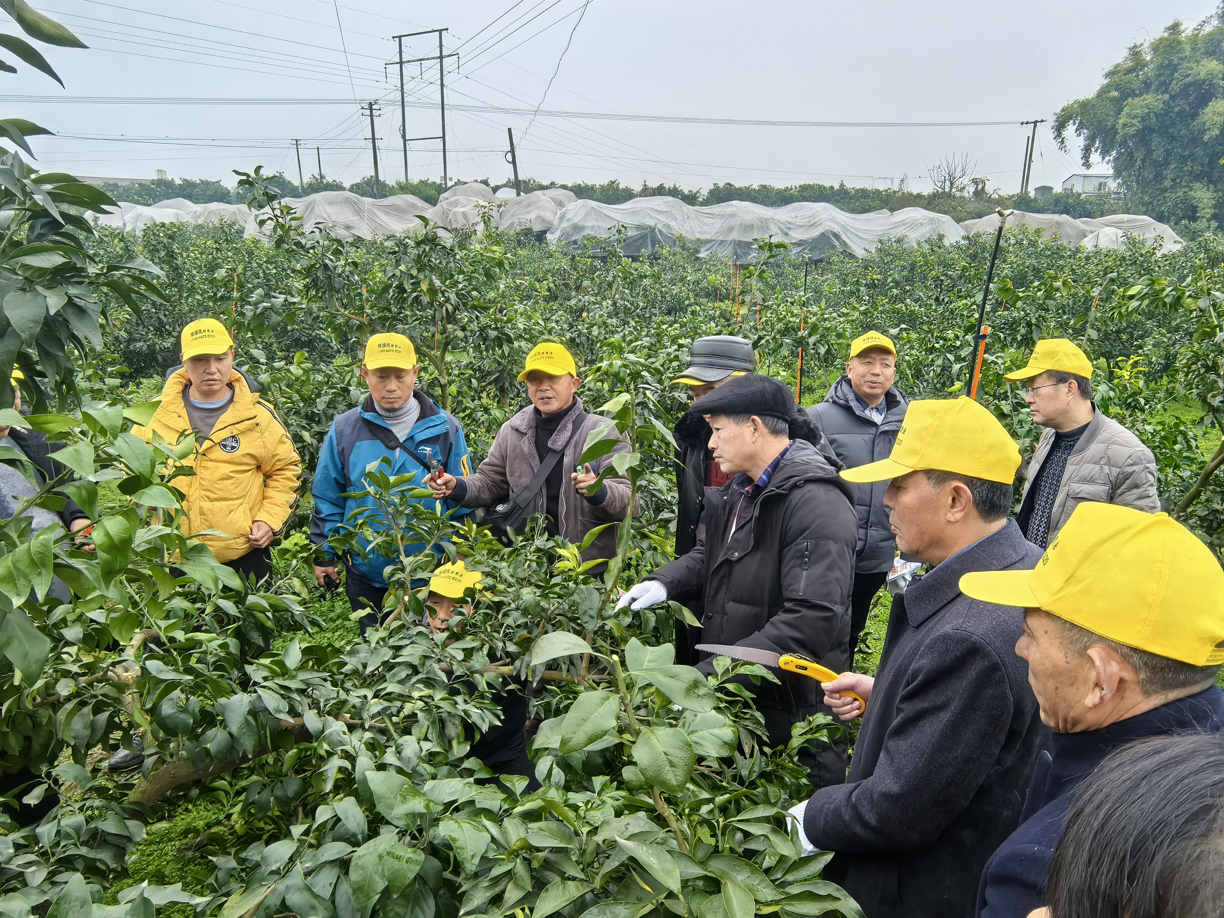 合川区农村致富带头人(高素质农民)培育果树专业培训班.jpg