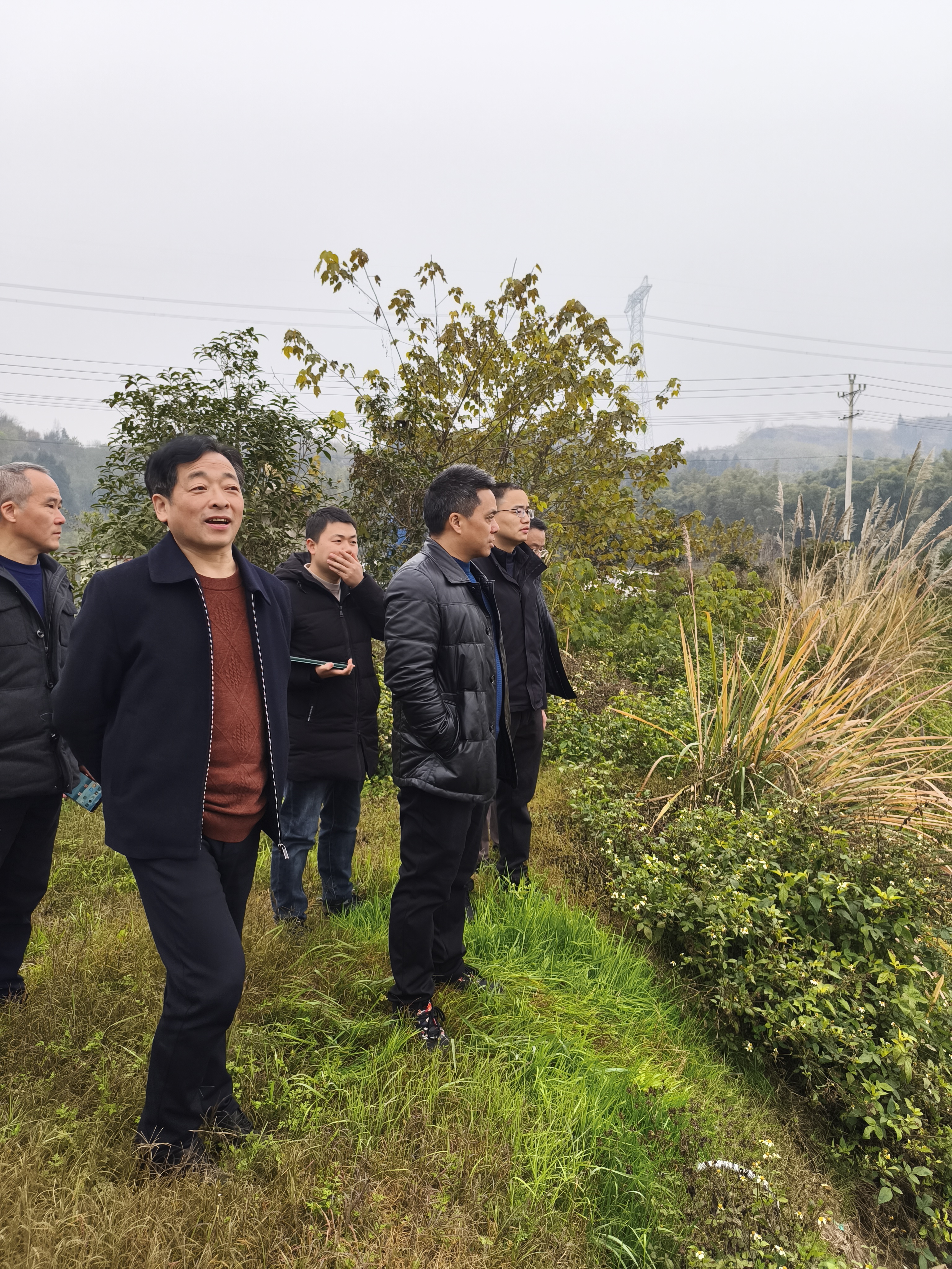 在太和开展国土变更调查疑似不合理流出耕地整改工作.jpg