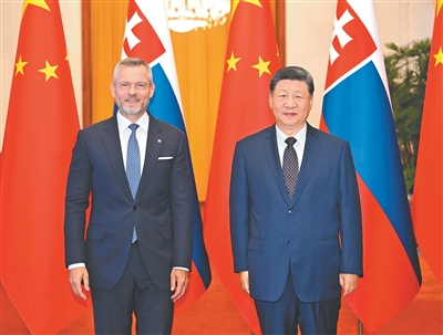 习近平同斯洛伐克总统佩列格里尼会谈.jpg