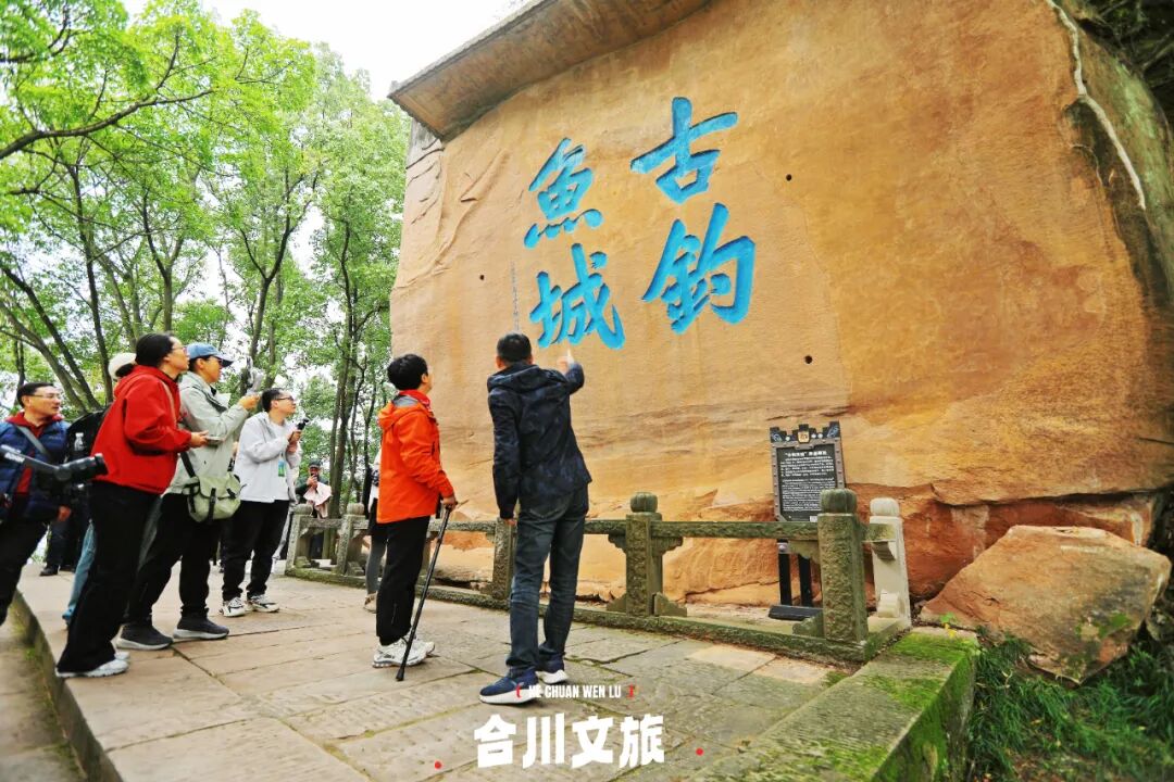 教授蒙曼领衔的专家团队驻足欣赏古钓鱼城摩崖题刻.jpg