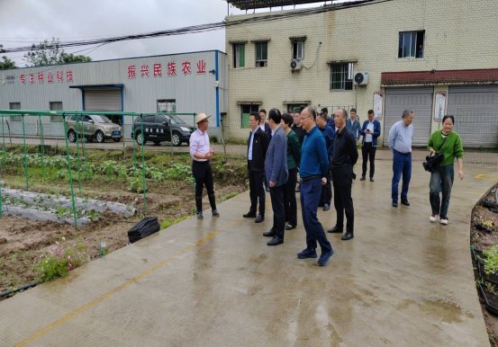 区委秦敏副书记带队到钓鱼城街道调研农业产业发展工作