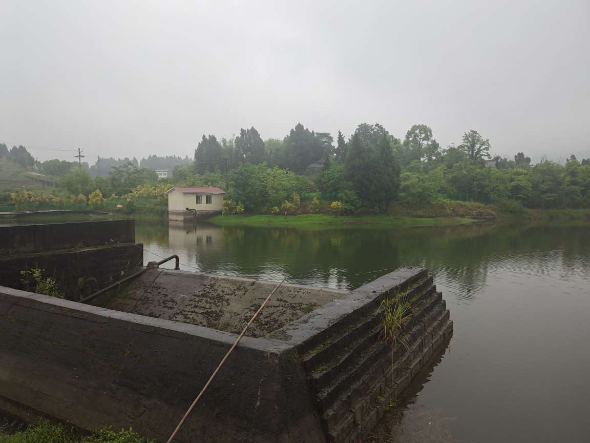IMG_20260517_081107.jpg