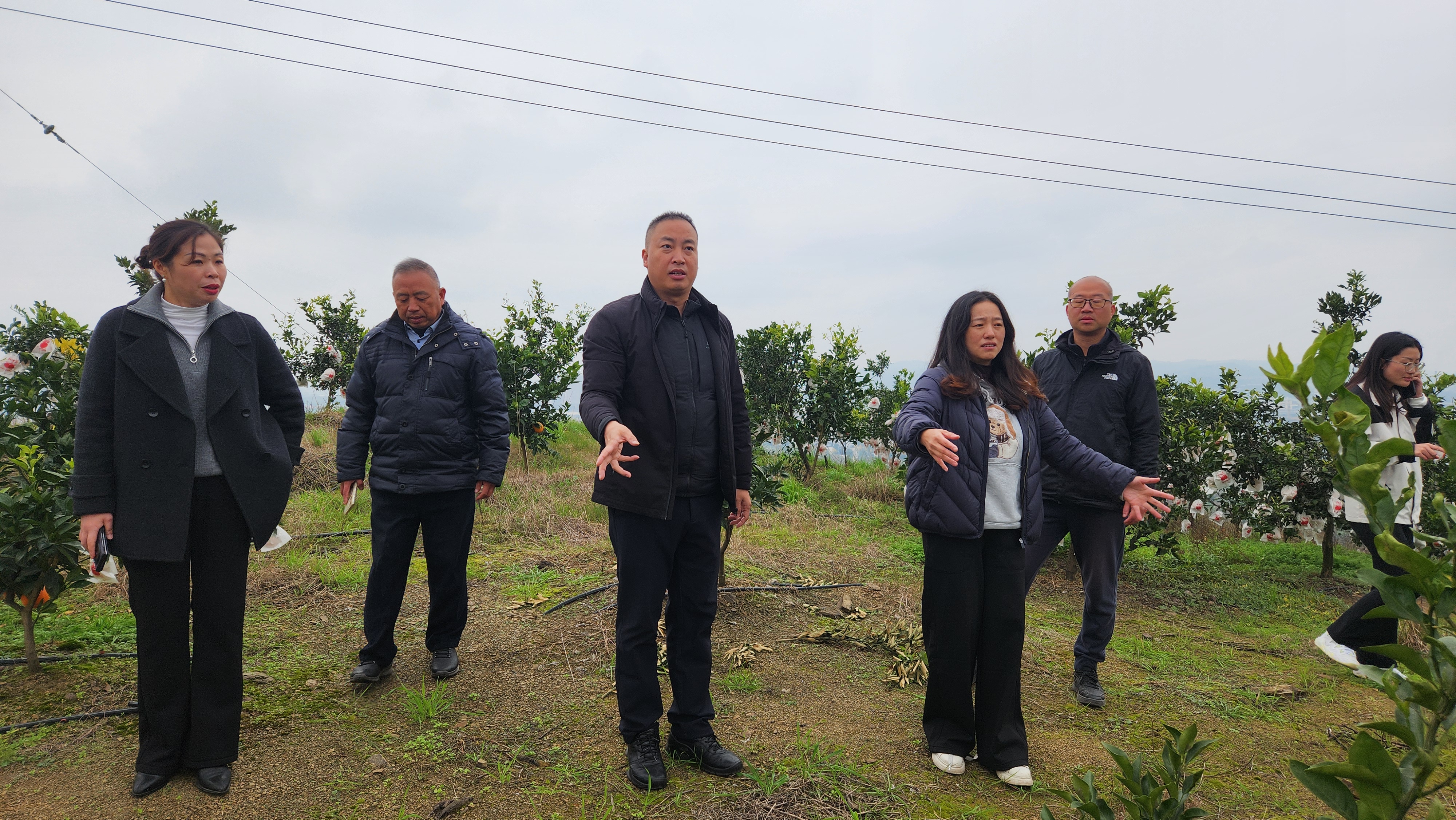 党工委书记于小波,行政主任周洁等一行到米坊村检查米坊村宽皮柑橘产业发展情况.jpg