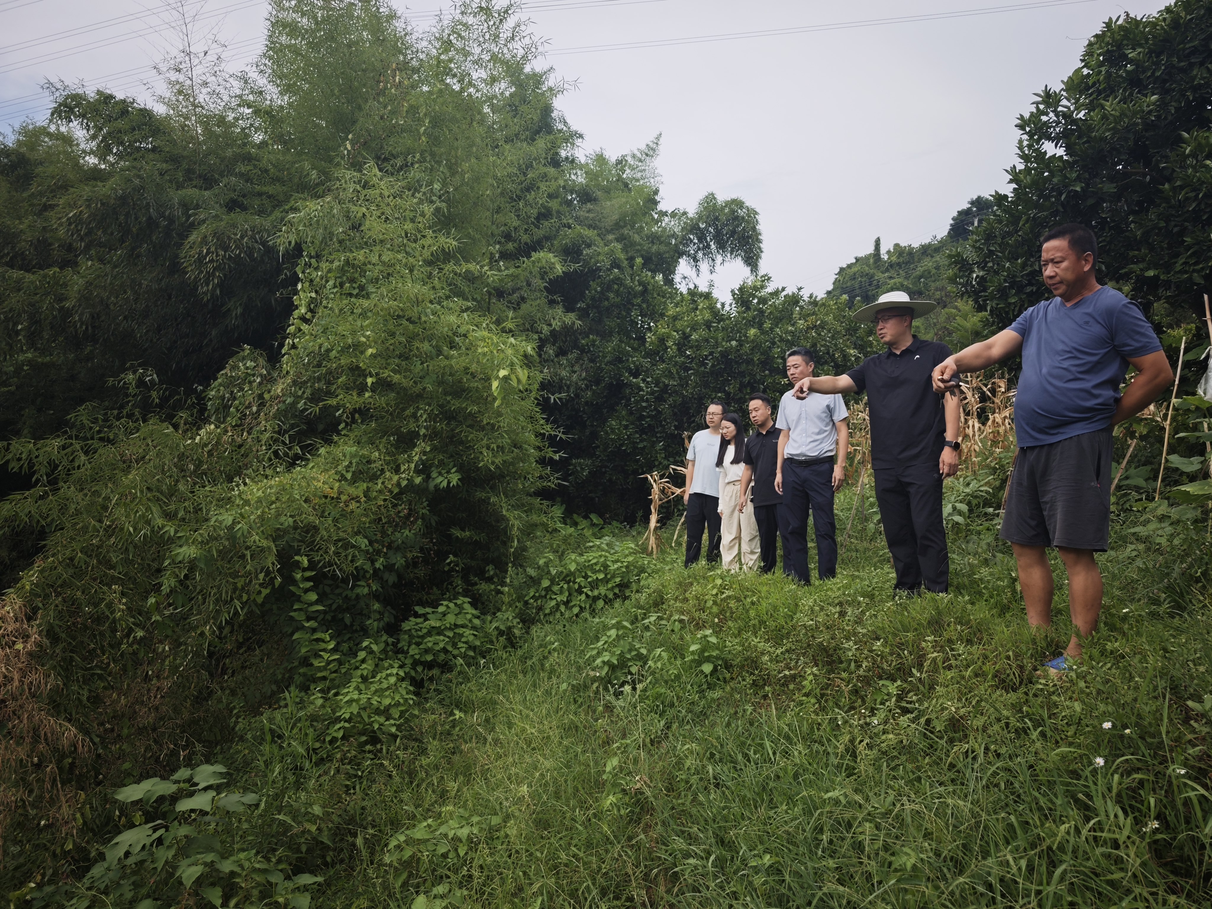 街道于书记、秦燕江副书记,张元皓到花园社区查看地灾点情况,指导防灾工作.jpg