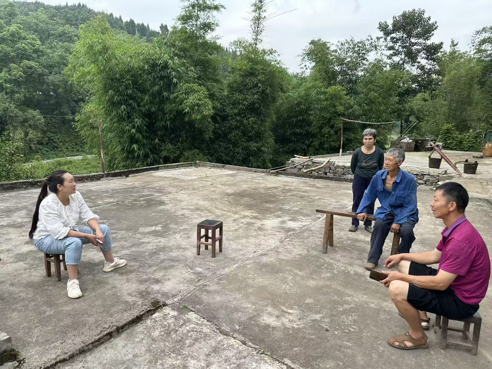 清平镇岩门村向群众宣讲政策.jpg
