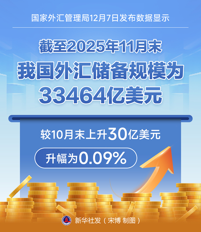 图表:11月末我国外汇储备规模为33464亿美元.jpg
