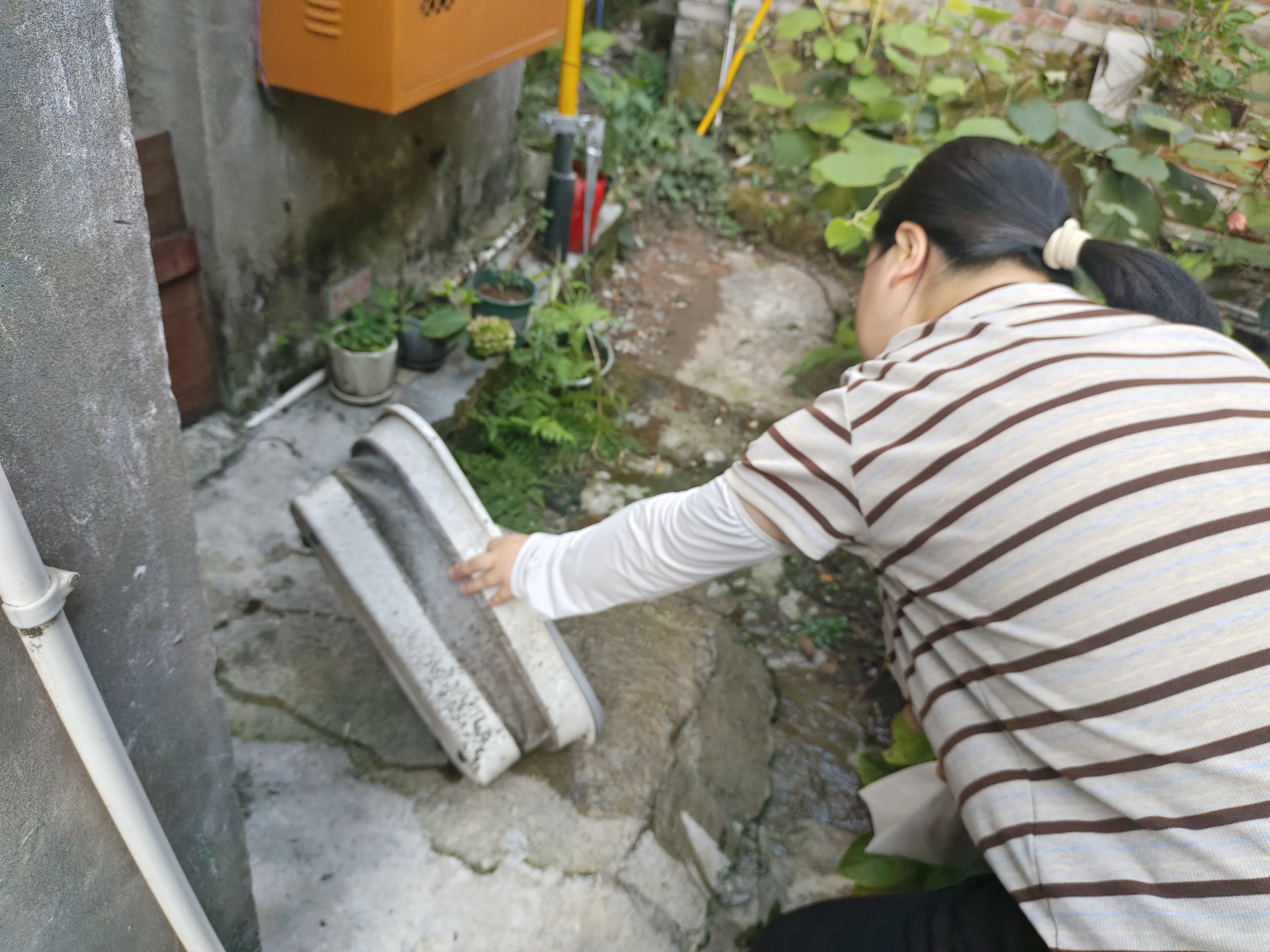 宣传登革热及基孔肯亚热,清理水桶积水.jpg