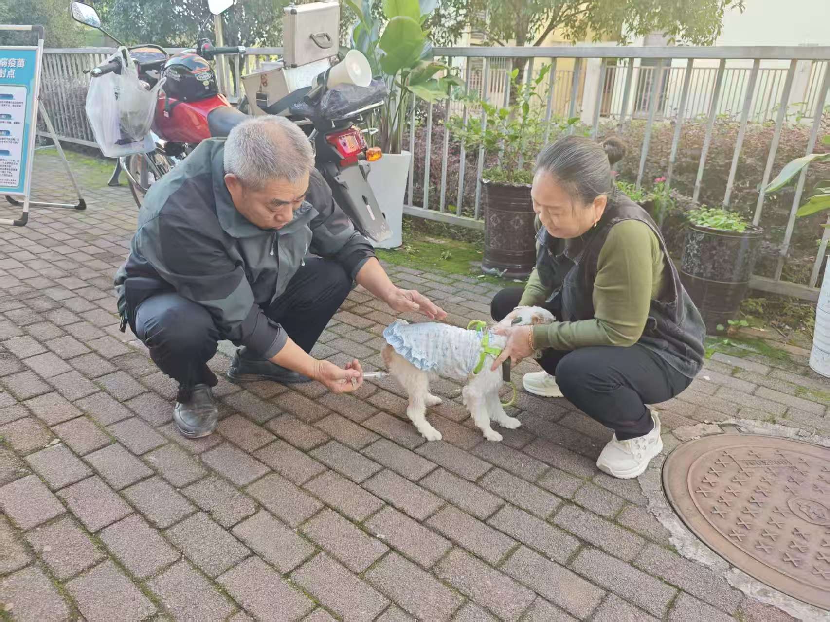 土场镇三口社区组织养犬业主为犬只免费接种狂犬病疫苗.jpg