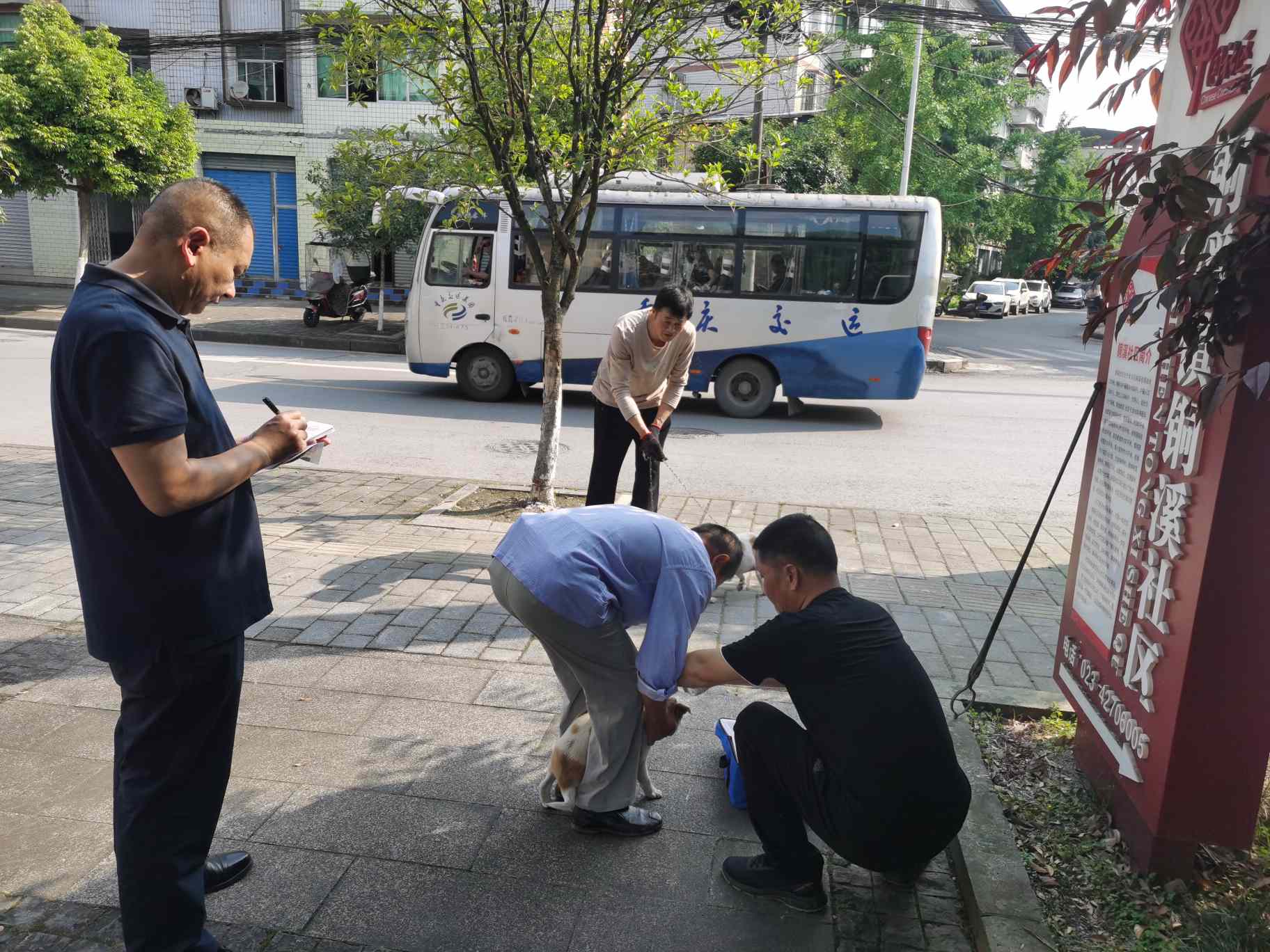 为辖区开展动物狂犬疫苗接种.jpg