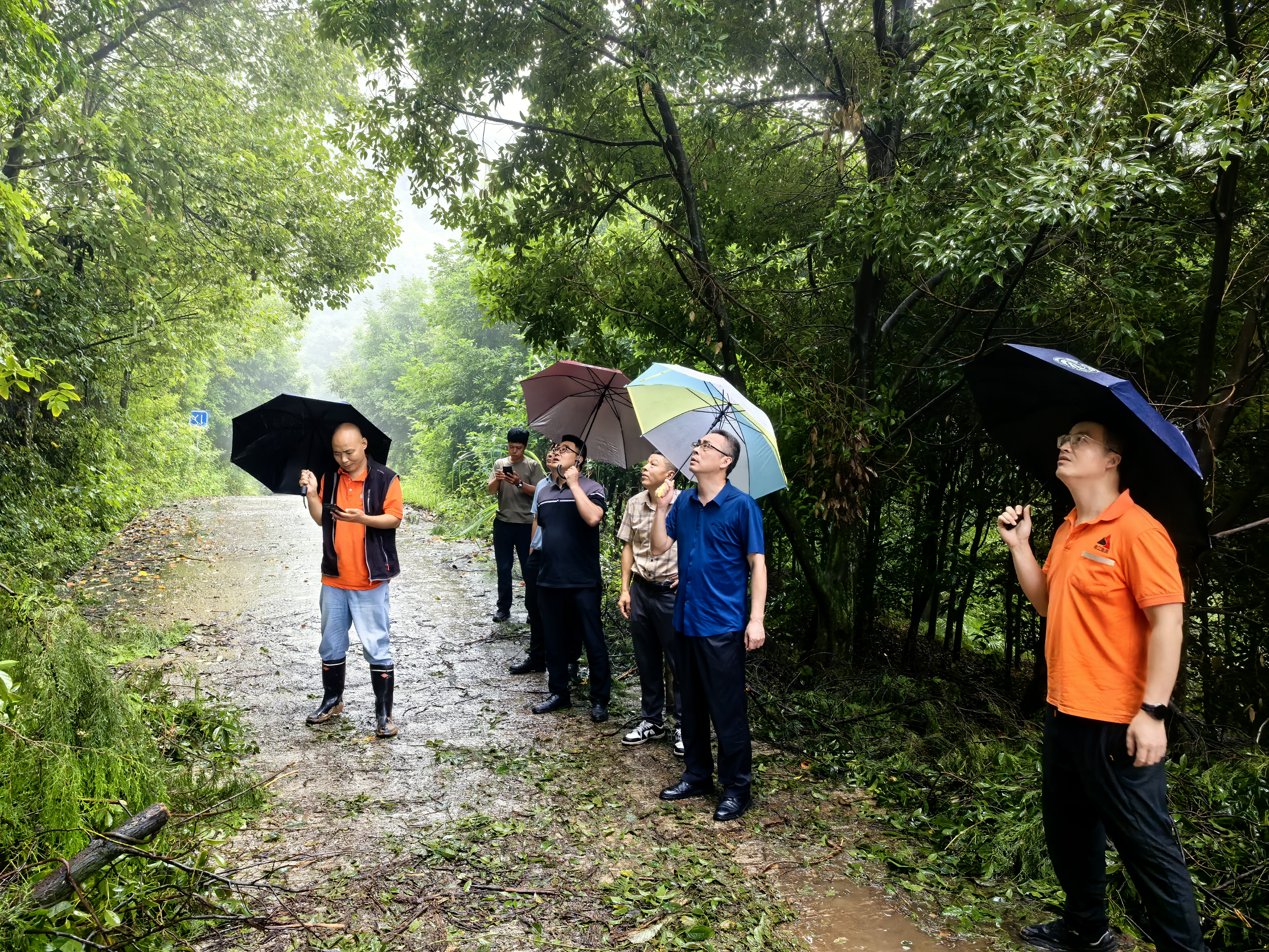 镇领导带队查看锣山村垮塌点,排除安全隐患.jpg