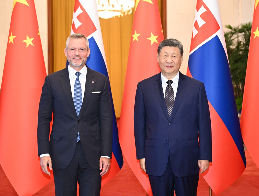 习近平同斯洛伐克总统佩列格里尼会谈.jpg