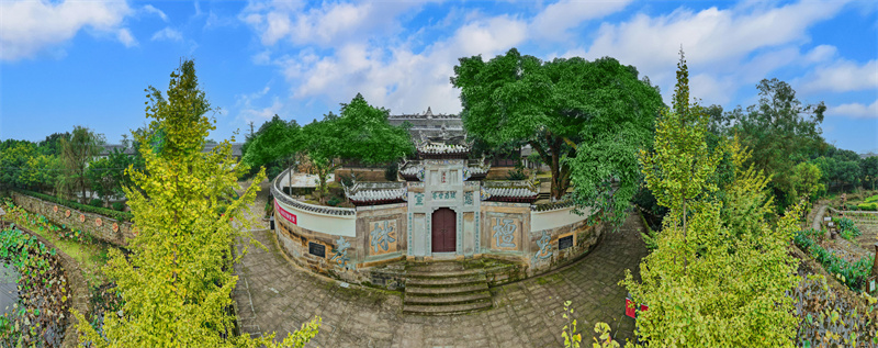 陶行知2.jpg